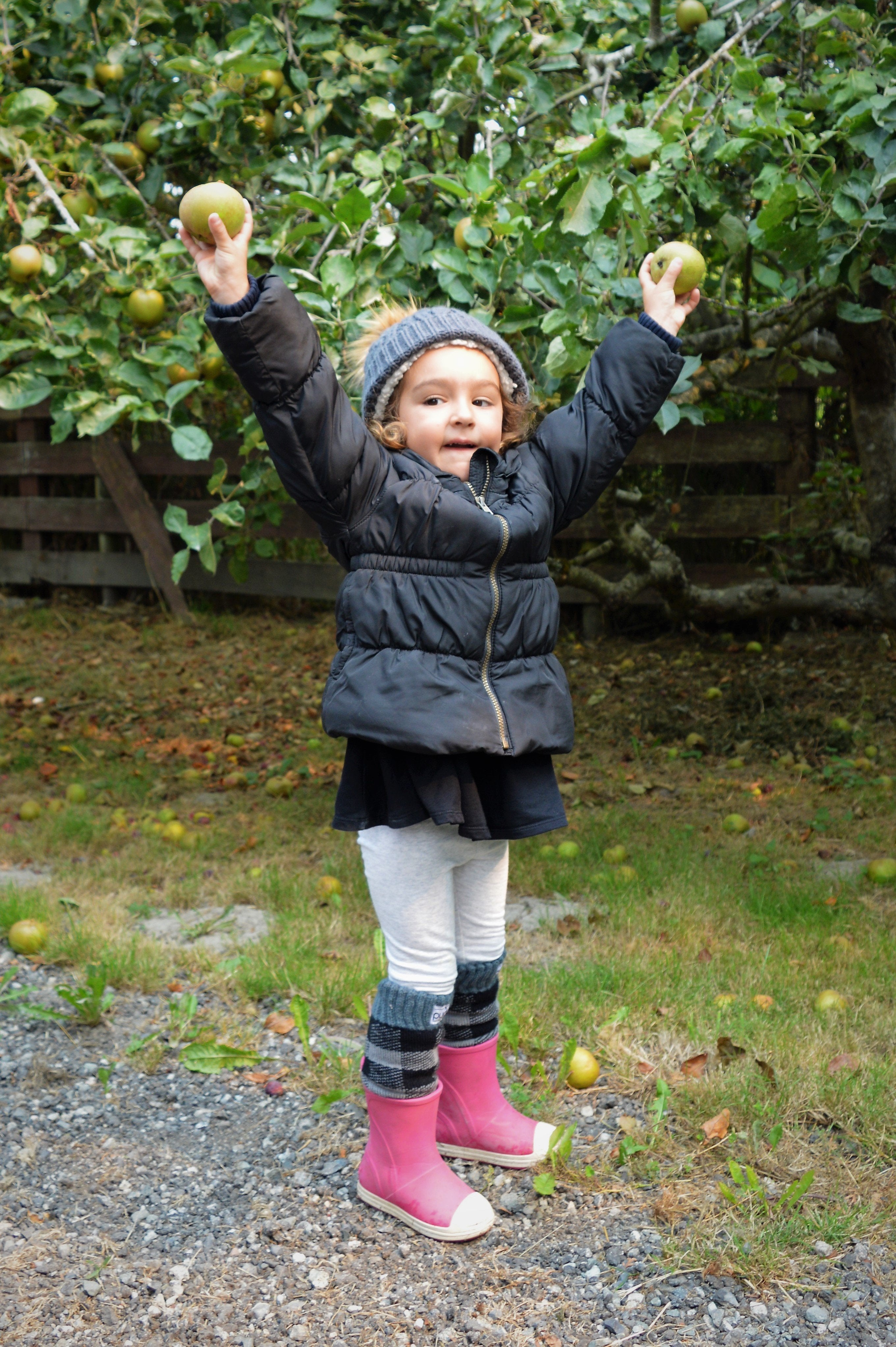 Boot Socks | Lumberjack Grey | Kids Tall